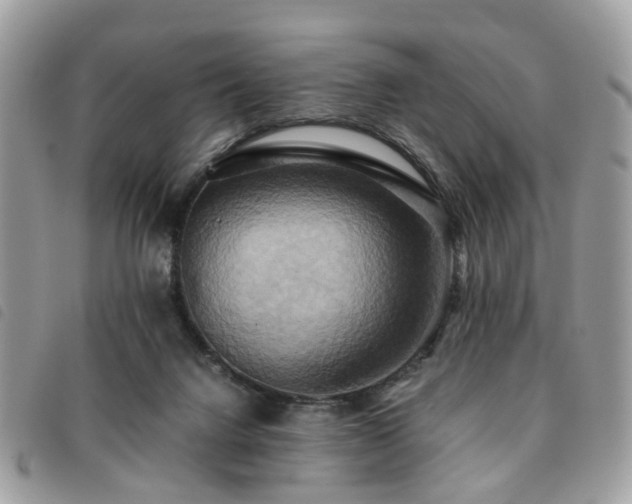 X0000091540072200708171253