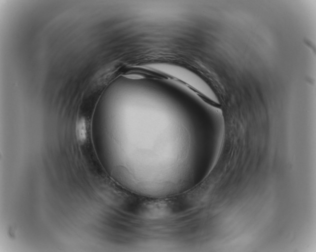 X0000091540075200708171254