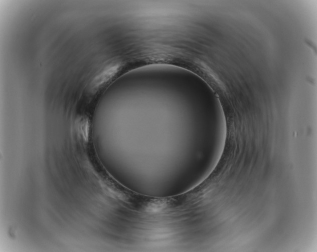 X0000091540076200708171254