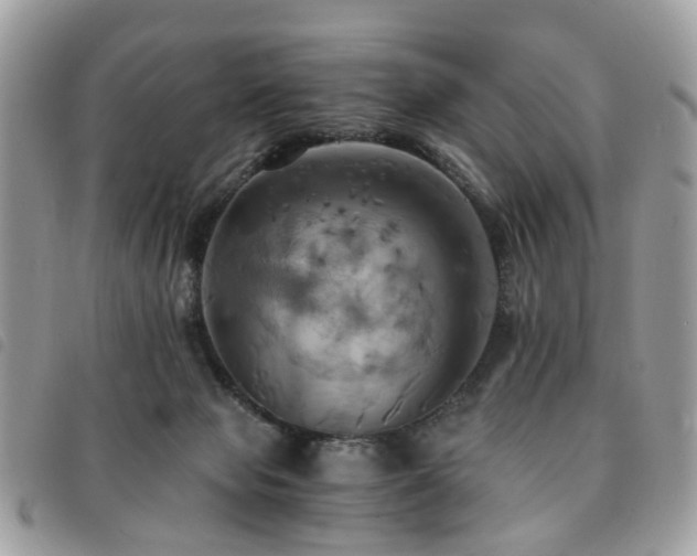 X0000091540077200708171254