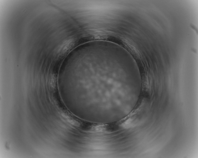 X0000091540078200708171254