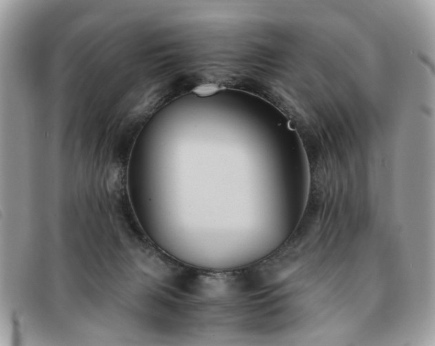 X0000091540079200708171254