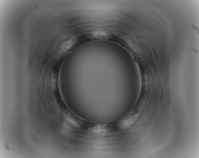 X0000091540080200708171254