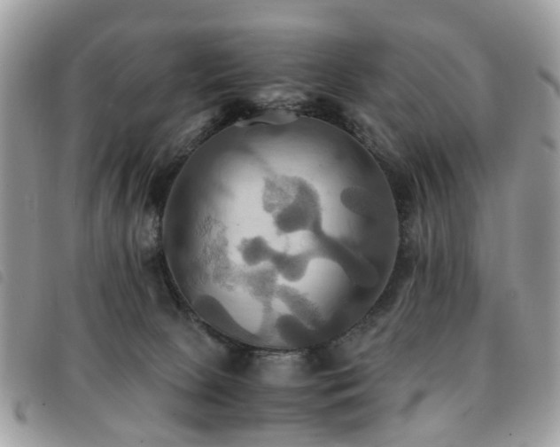 X0000091540081200708171254