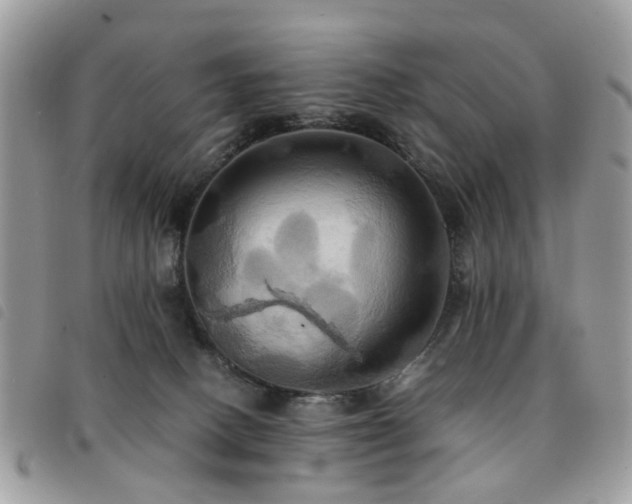 X0000091540082200708171254