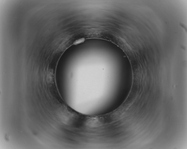 X0000091540083200708171254