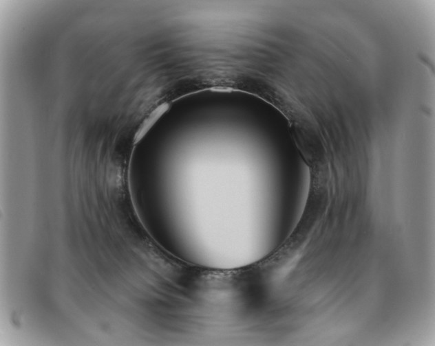 X0000091540084200708171254