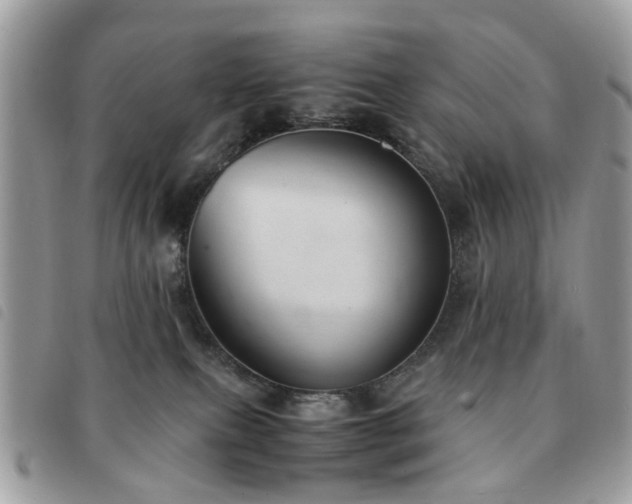 X0000091540087200708171254