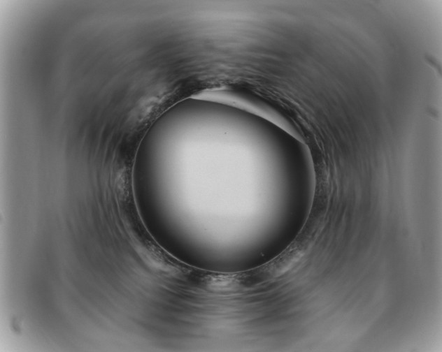 X0000091540088200708171254