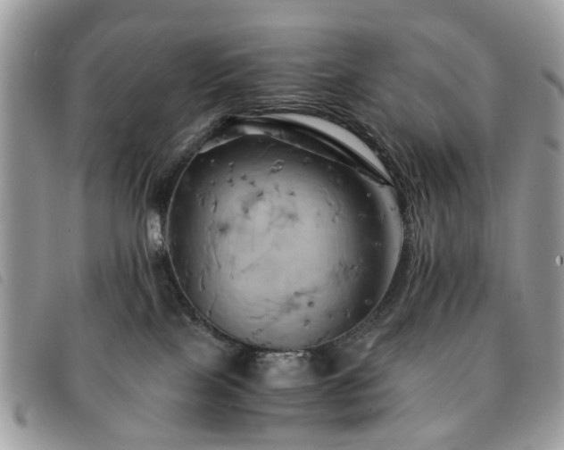 X0000091540089200708171254
