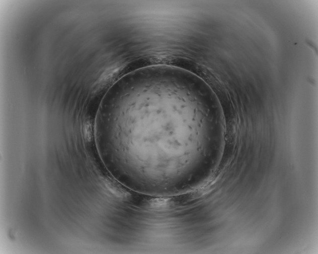 X0000091540090200708171254