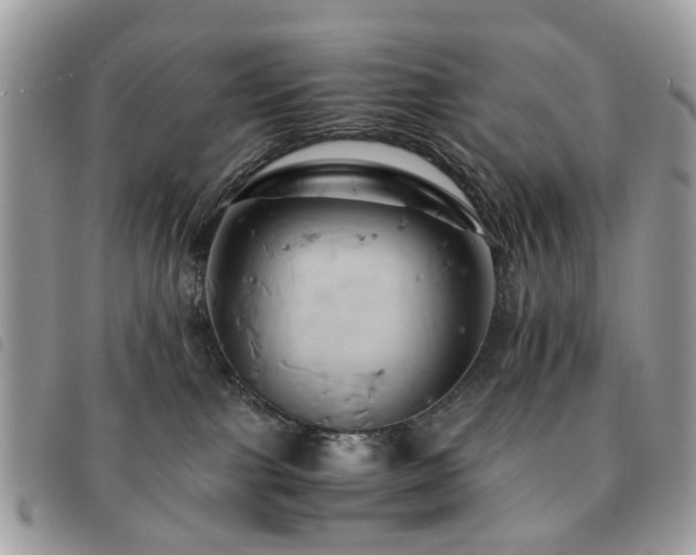 X0000091540091200708171254