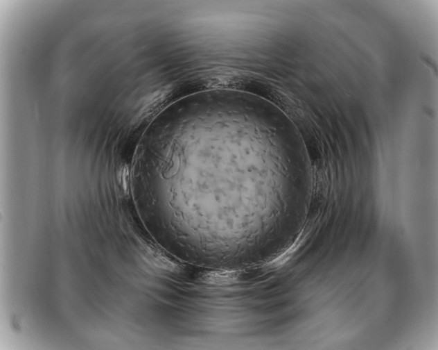 X0000091540094200708171254