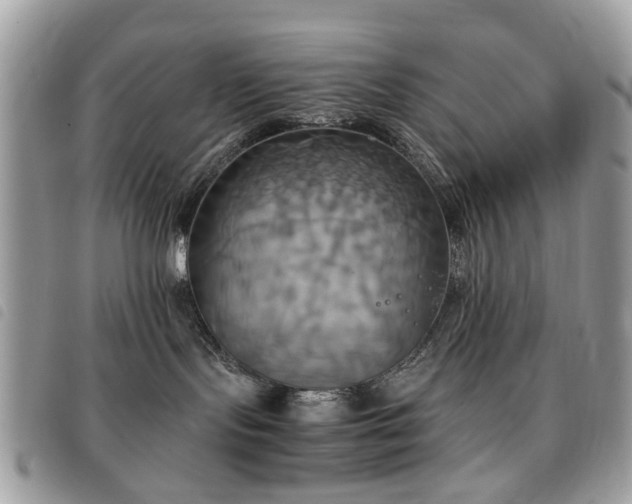 X0000091540095200708171254