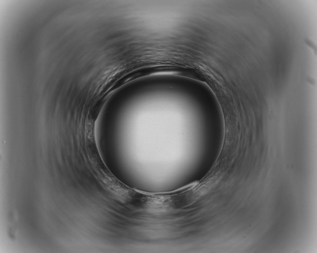 X0000091540096200708171254