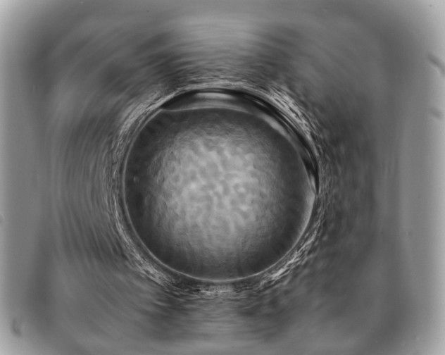 X0000091540097200708171253