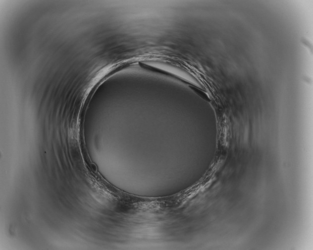 X0000091540100200708171253