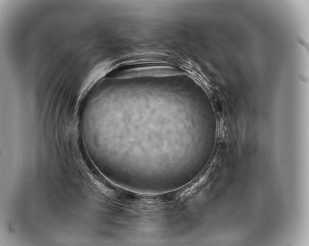 X0000091540101200708171253