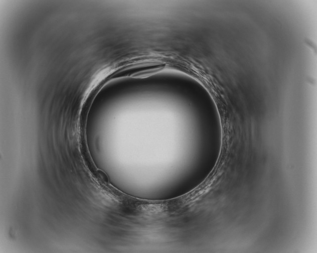X0000091540102200708171253
