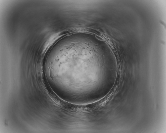 X0000091540103200708171253