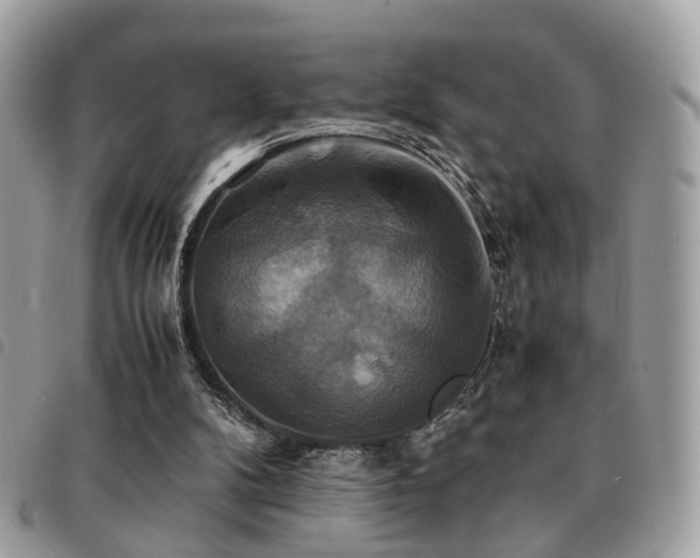 X0000091540104200708171253