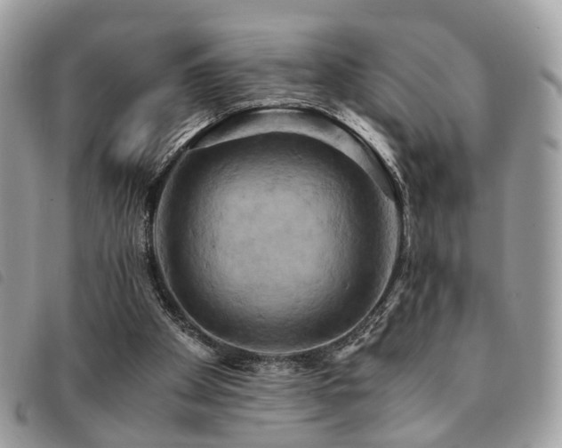 X0000091540105200708171253