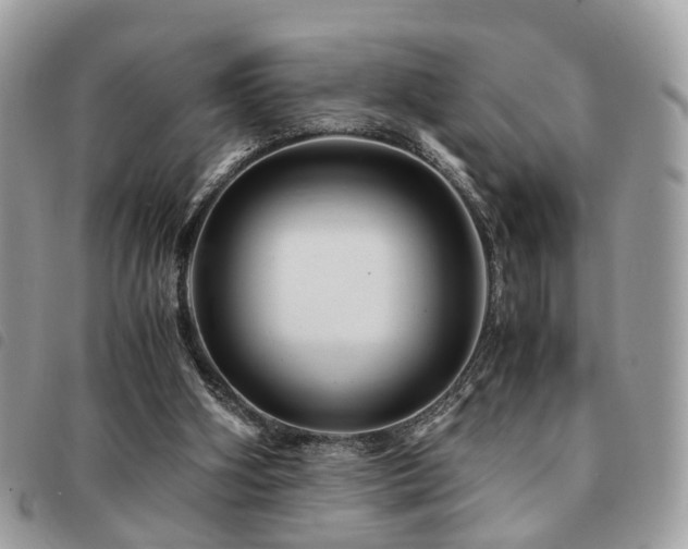 X0000091540106200708171253