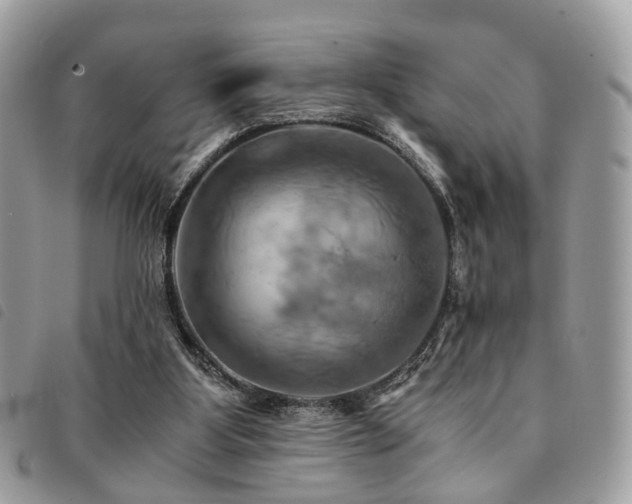 X0000091540107200708171253