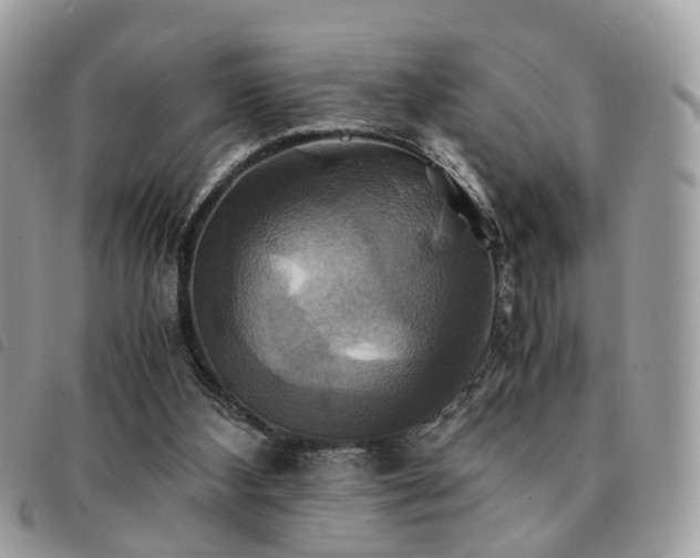 X0000091540108200708171253