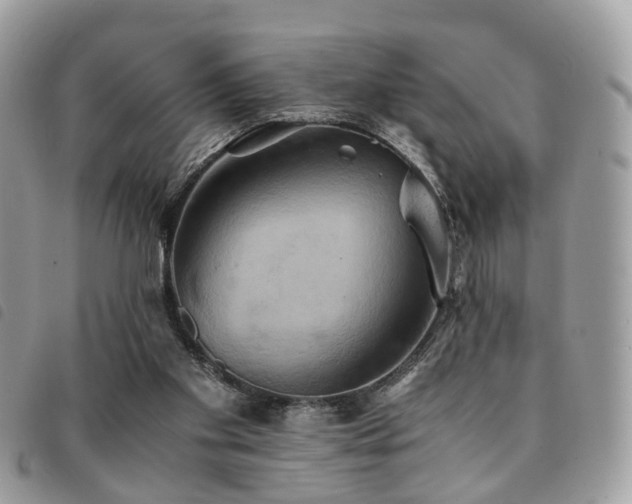 X0000091540109200708171253