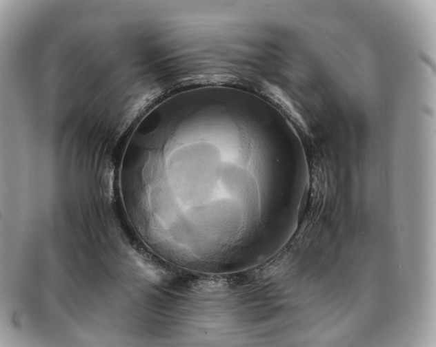 X0000091540110200708171253