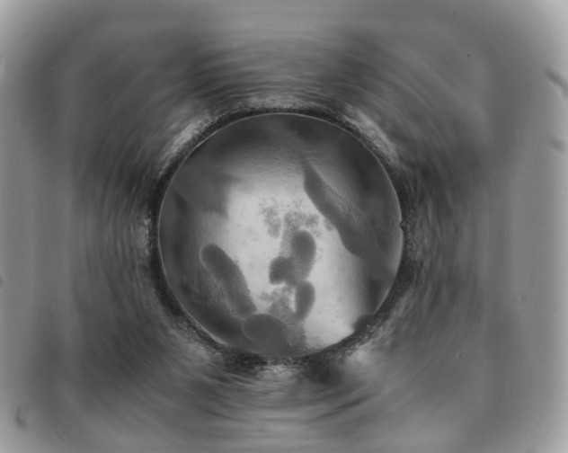 X0000091540111200708171253