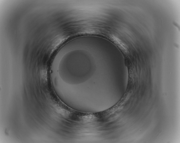 X0000091540112200708171253