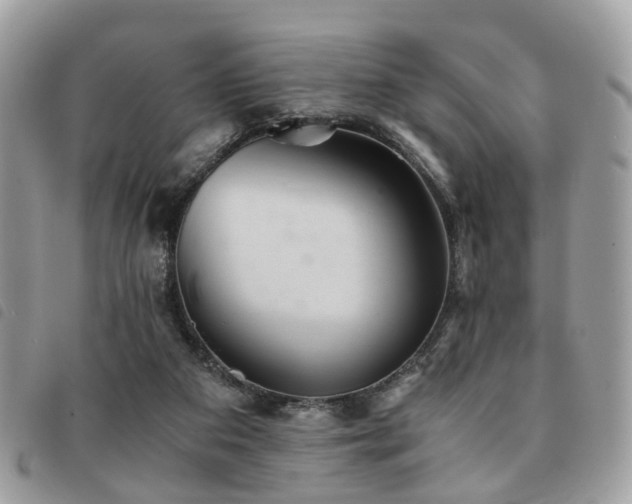 X0000091540113200708171253