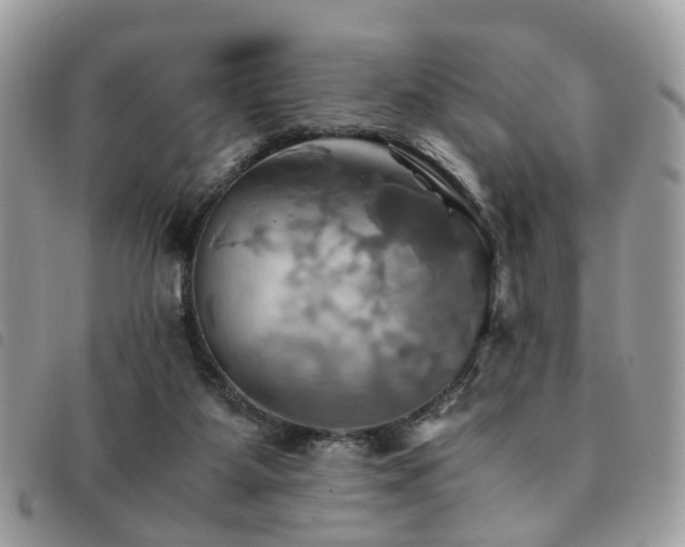 X0000091540115200708171253