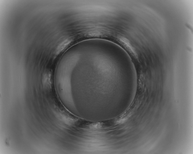 X0000091540116200708171253