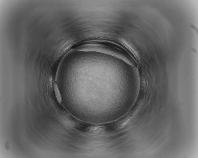 X0000091540117200708171253