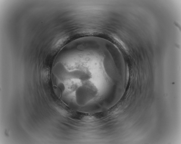 X0000091540119200708171253