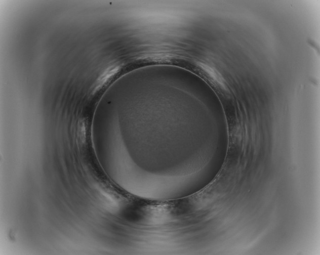 X0000091540120200708171253