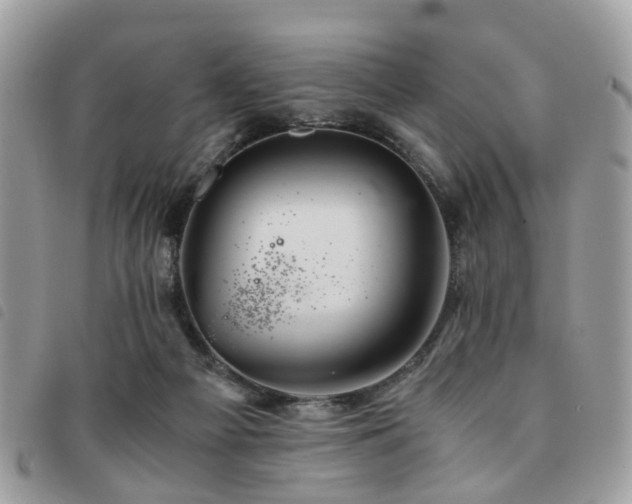 X0000091540121200708171253