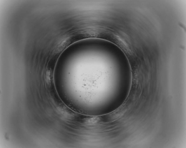 X0000091540122200708171253