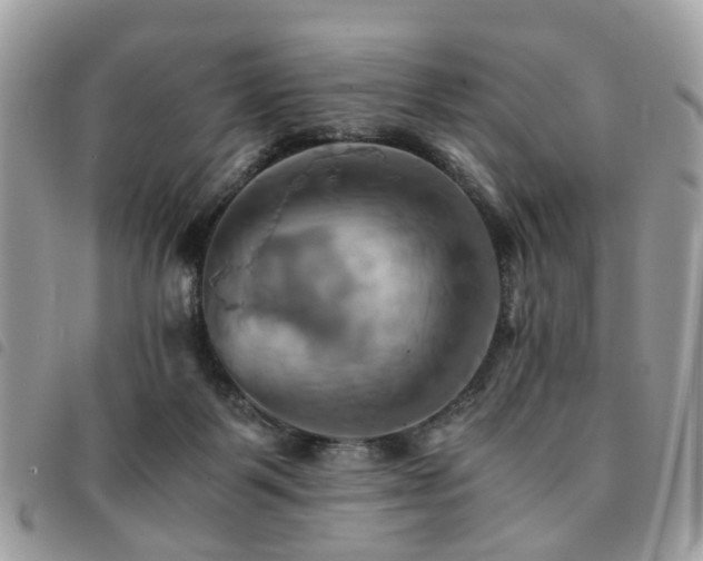 X0000091540123200708171253