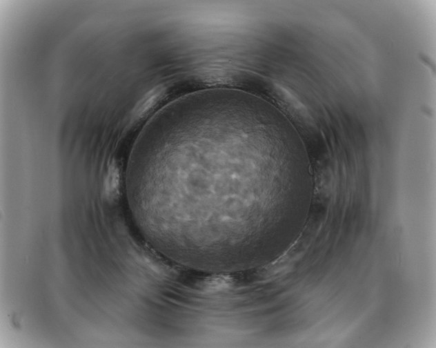 X0000091540124200708171253