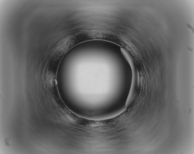 X0000091540125200708171253