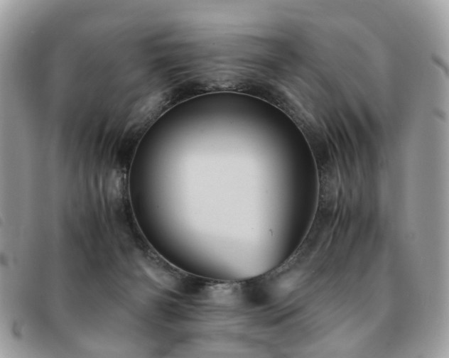 X0000091540126200708171253