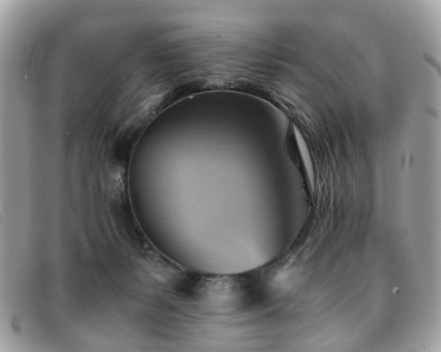 X0000091540127200708171253