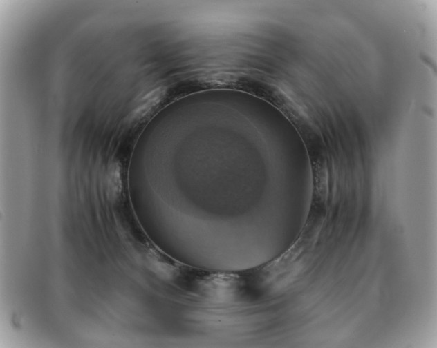 X0000091540128200708171253
