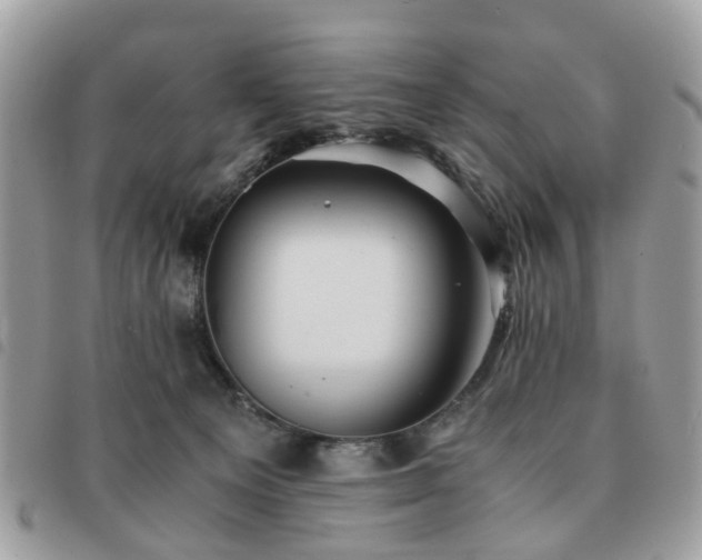 X0000091540129200708171253