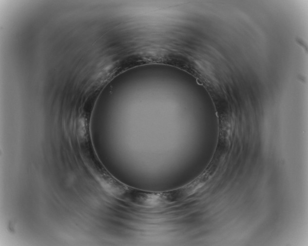 X0000091540130200708171253