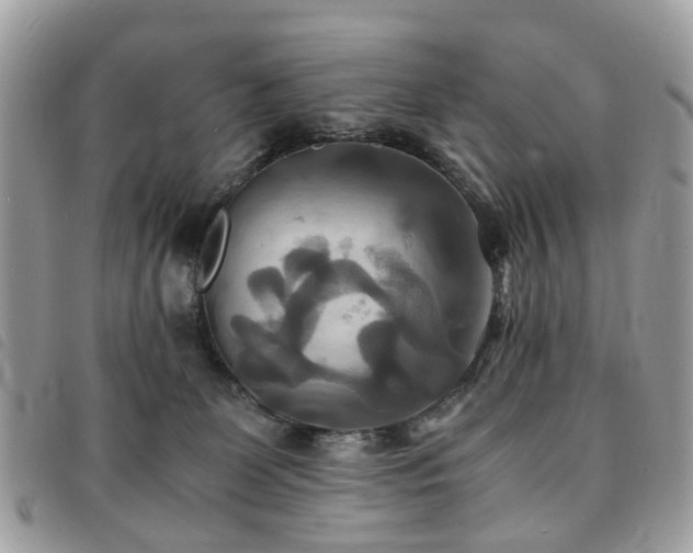 X0000091540131200708171253